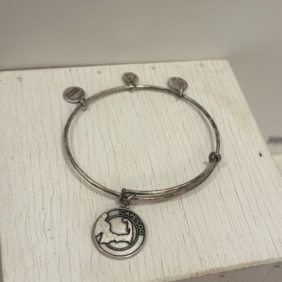 Cape Cod Alex & Ani Bangle Bracelet SIlver - Picture 1 of 7